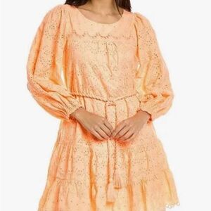 NWT. Keyla eyelet sleeves dress sz med
